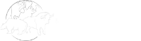 new-stone-group-logo